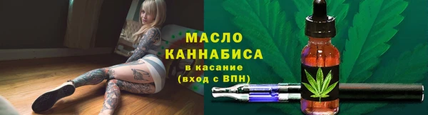 СК Алексин