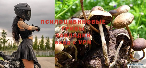 эйфоретик Алзамай