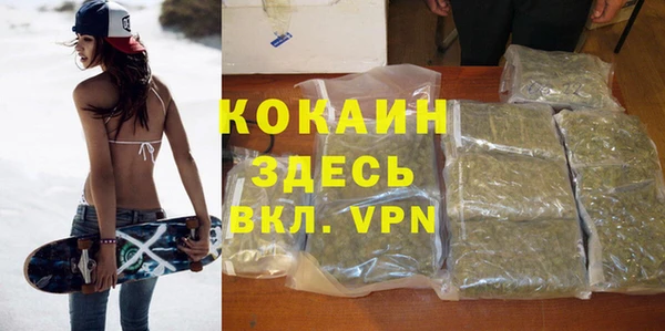 эйфоретик Алзамай