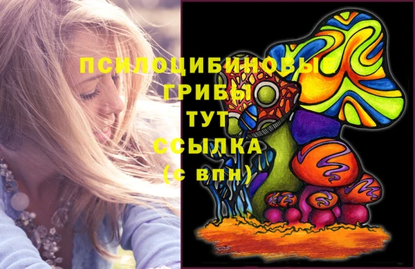 спиды Алексеевка