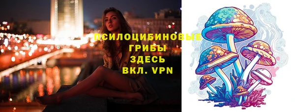 спиды Алексеевка