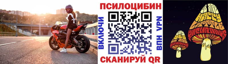 Псилоцибиновые грибы Psilocybe  KRAKEN tor  Махачкала 